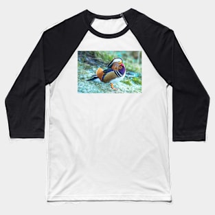 Male Mandarin duck in the UK Baseball T-Shirt